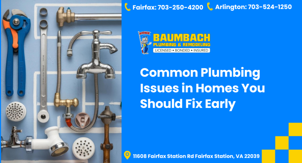 Common Plumbing Issues in Homes Blog Image